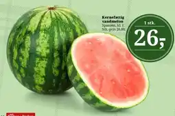 Dagli'Brugsen Kernefattig vandmelon tilbud