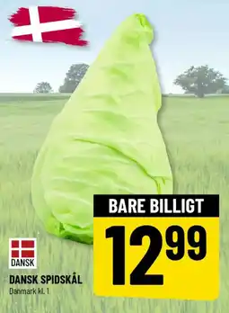 Løvbjerg Dansk spidskål tilbud