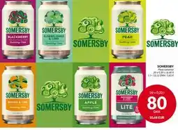 Nielsen's Discount SOMERSBY, DKK 80 tilbud