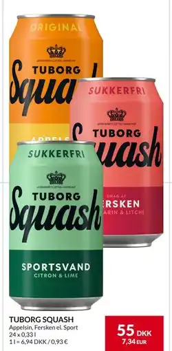 Nielsen's Discount TUBORG SQUASH, DKK 55 tilbud
