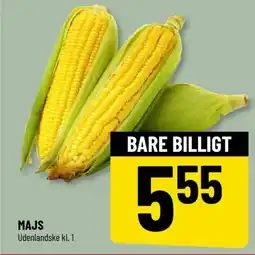 Løvbjerg Majs tilbud
