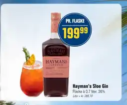Otto Duborg Hayman's Sloe Gin tilbud