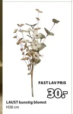 JYSK LAUST kunstig blomst, DKK 30 tilbud