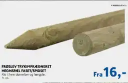 Davidsen FRØSLEV TRYKIMPRÆGNERET HEGNSPÆL FASET/SPIDSET tilbud