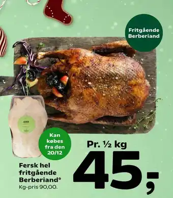 Fersk hel fritgående Berberiand