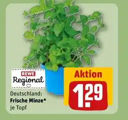 REWE DE Frische minze tilbud