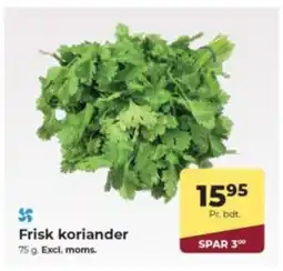 Dagrofa Food Service Frisk koriander tilbud