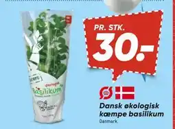 Bilka Dansk økologisk kæmpe basilikum, DKK 30 tilbud