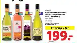 Lidl Chardonnay Colombard, Rosé, Sauvignon Blanc eller Chardonnay, DKK 199 tilbud