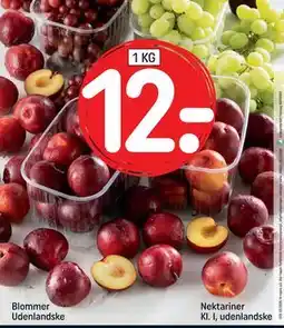 REMA 1000 Blommer Udenlandske, DKK 12 tilbud