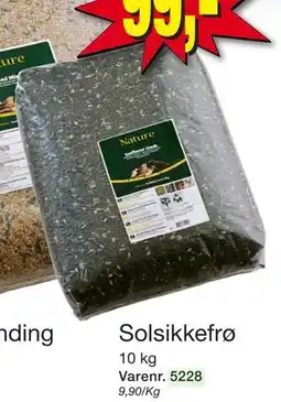 Harald Nyborg Solsikkefrø, DKK 99 tilbud