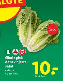Lidl Økologisk dansk hjertesalat, DKK 10 tilbud