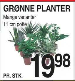ABC Lavpris GRØNNE PLANTER tilbud