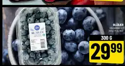 Løvbjerg BLÅBÆR tilbud