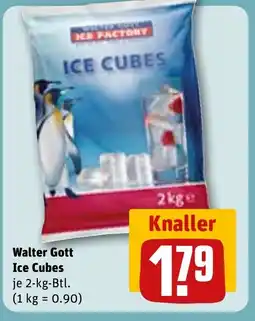 REWE DE Walter Gott Ice Cubes tilbud