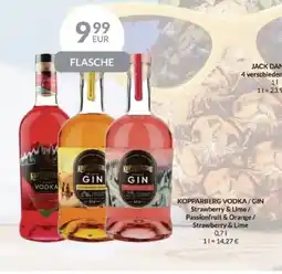 Nielsen's Discount KOPPARBERG VODKA/GIN Strawberry & Lime/ Passionfruit & Orange/ Strawberry & Lime tilbud
