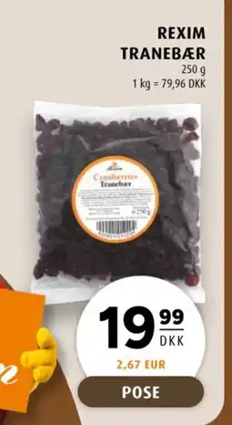 Scandinavian Park Rexim Tranebær tilbud