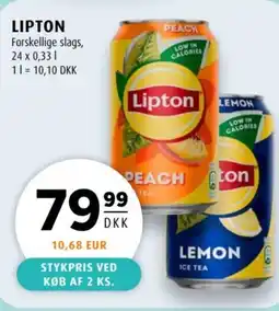 Scandinavian Park LIPTON tilbud