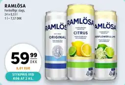 Scandinavian Park RAMLÖSA tilbud