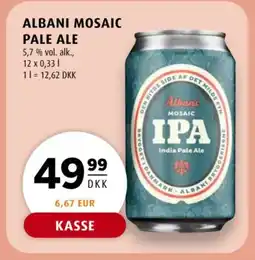 Scandinavian Park Albani Mosaic Pale ale tilbud