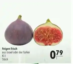 Citti Feigen frisch tilbud