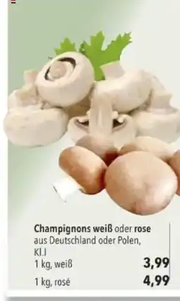 Citti Champignons weiß oder rose tilbud