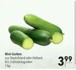 Citti Mini-Gurken tilbud