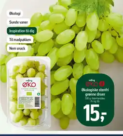 Føtex Økologiske stenfri grønne druer tilbud