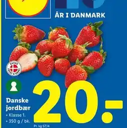 Lidl Danske jordbær, DKK 20 tilbud