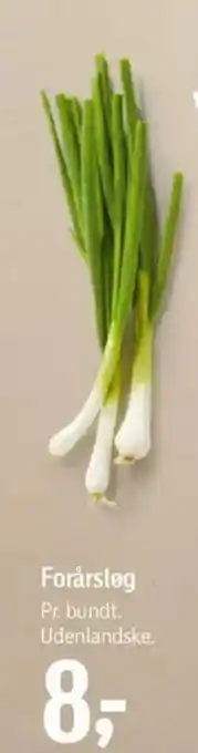 Føtex Forårsløg tilbud