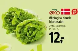 Føtex Økologisk dansk hjertesalat tilbud