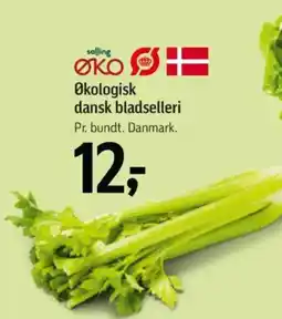 Føtex ØKO Økologisk dansk bladselleri tilbud