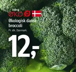 Føtex Økologisk dansk broccoli tilbud