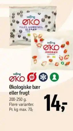 Føtex Økologiske bær eller frugt tilbud