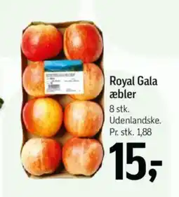 Føtex Royal Gala æbler tilbud