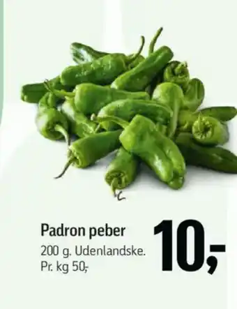 Føtex Padron peber tilbud