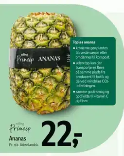Føtex Princip ANANAS tilbud