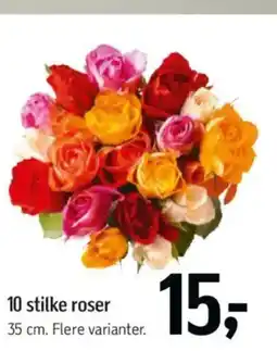 Føtex 10 stilke roser tilbud