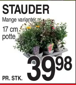 ABC Lavpris Stauder tilbud