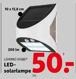 Lidl LIVARNO HOME® LED- solarlampe tilbud