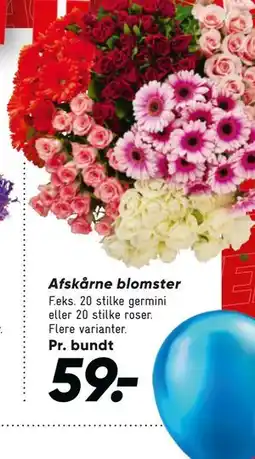 Bilka Afskårne blomster, DKK 59 tilbud