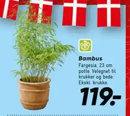 Bilka Bambus, DKK 119 tilbud