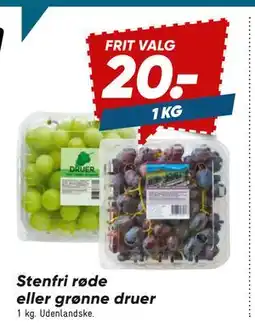 Bilka Stenfri røde eller grønne druer, DKK 20 tilbud