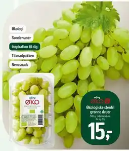 Føtex Økologiske stenfri grønne druer, DKK 15 tilbud