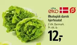 Føtex Økologisk dansk hjertesalat, DKK 12 tilbud
