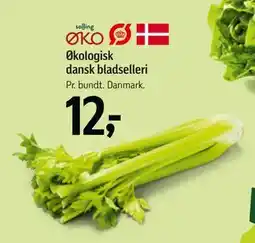 Føtex Økologisk dansk bladselleri, DKK 12 tilbud