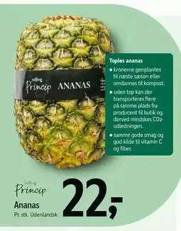 Føtex Ananas, DKK 22 tilbud