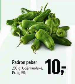 Føtex Padron peber, DKK 10 tilbud