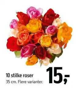 Føtex 10 stilke roser, DKK 15 tilbud