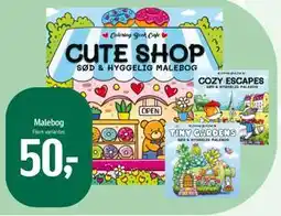 Føtex Malebog, DKK 50 tilbud